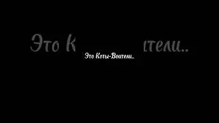 Это Коты-Воители..