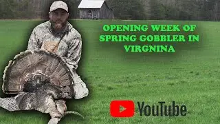 Opening week of VIRGINIA SPRING GOBBLER! Chasing stubborn Toms with lots of hens!