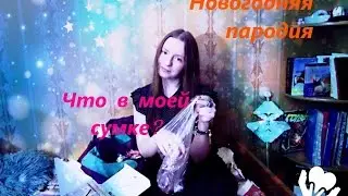 Что в моей сумке? Новогодняя пародия