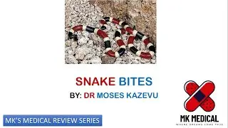 Snake bites