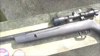 GAMO .177 Varmint Pellet Rifle and pigeons
