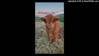 [FREE] kurtains x spawn type beat - 