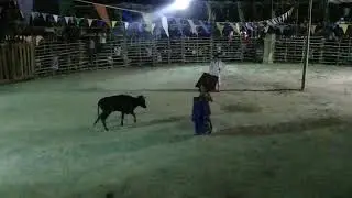 Corrida de la fiesta de x-calakdzonot 2019