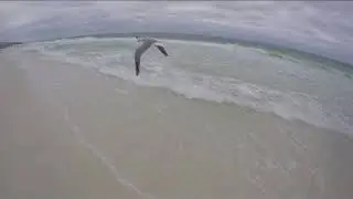 B-ROLL BEACH VIDEO | DESTIN BEACH
