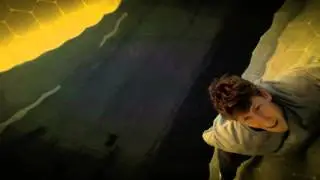 Flight of the Bumblebee