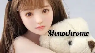 Monochrome meaning