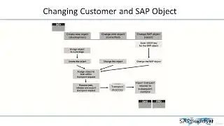 SAP BASIS COURSE: Lec 39. SAP Object Modification.