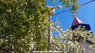 Слово протеиерея Виктора Белякова в Великую Среду