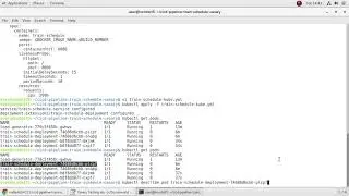 Canary testing1 by RED Team