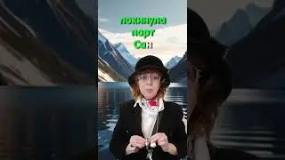 29 ноября 2023 г.
