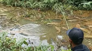 MANCING DI RAWA YANG DI HUNI BANYAK IKAN KOBAR‼️DAN TARIKAN NYA BIKIN JANTUNGAN