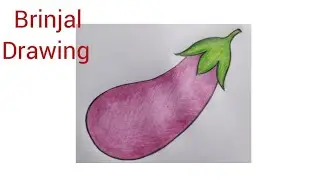 How to draw a brinjal step by step//Brinjal drawing tutorial 