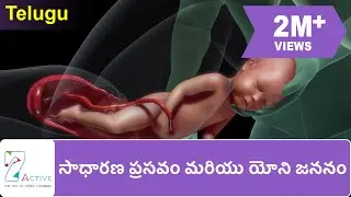 NORMAL LABOR & VAGINAL BIRTH | Telugu