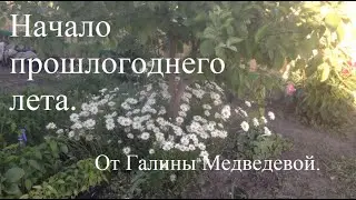 Вспоминаю прошедшее начало лета.Часть 1-я.