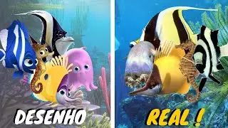 PROCURANDO NEMO NA VIDA REAL | DESENHO X REAL