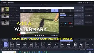 Add A Watermark In Movavi Video Converter 2023