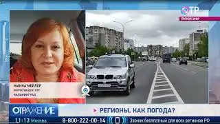Погода в Калининграде и археологические раскопки прямое включение 14.05.2022