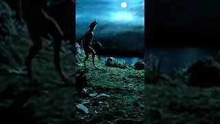 Harry Potter and The Prisoner of Azkaban (2004) Clip - Remus Lupin vs Sirius Black Scene