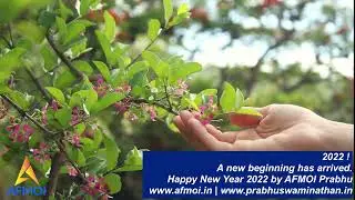 HAPPY NEW YEAR 2022 - AFMOI INDIA