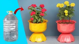DIY Idea, Turning Plastic Bottles Into A Beautiful Flower Pot For A Small Garden