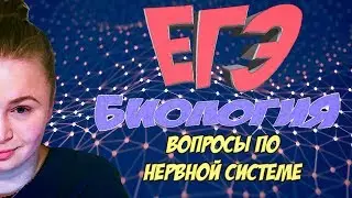 ЕГЭ биология 2018. Вопросы по нервной системе