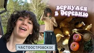 уехал в родное село (баня потом)