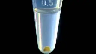 Eppendorf - MixMate – Pellet Resuspension