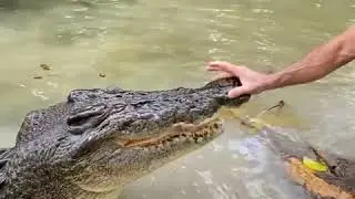 Геныч, уходи! Не видишь: я занят