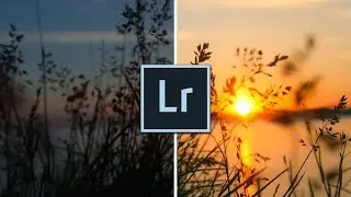 How to Create AMAZING COLORED Tones in Your Photos