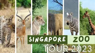Singapore Zoological Gardens 2023