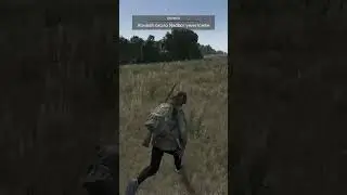 Карма в DayZ #shorts #dayz #chao #дейз