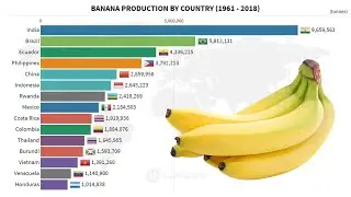 Top 15 Countries by Banana Production (1961 – 2018)