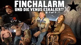 FINCHALARM - UND DIE VENUS ESKALIERT!    l VLOG LUCY CAT
