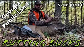 Georgia Public Land Buck Down! | Self Filmed