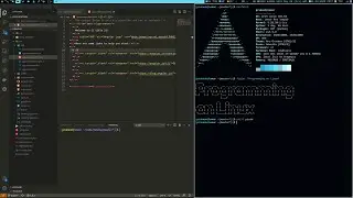 PARBS - My DWM Workflow on Arch Linux | Developer version of LARBS