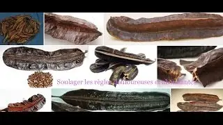 🦋 soulager rapidement les règles douloureuses et abondantes 🦋