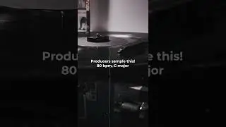Producers sample this! 