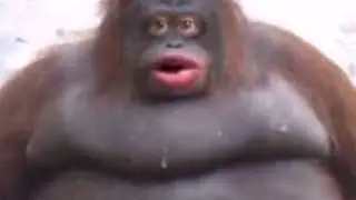 Beware the Monkeypox