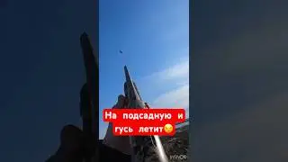 Выстрел 3кой по гусю🔥🔥🔥#охота #охотанагуся #весенняяохота  #охотанауток #охотавидео #shorts