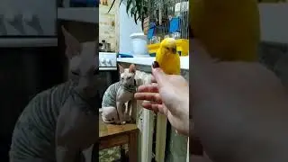 вечерние посиделки