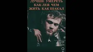 Лучше умереть как лев Чем жить как шакал