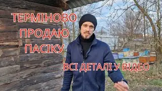 ✅️Продаю свою пасіку! ВСІ деталі у відео. Пасіка на 52 вулика!