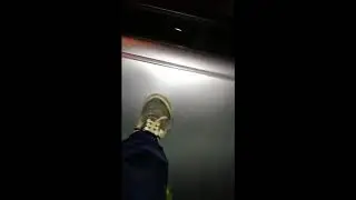 trampling car
