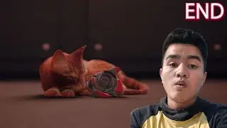 PERJALANAN TERAKHIR KUCING OREN - Stray Indonesia - END