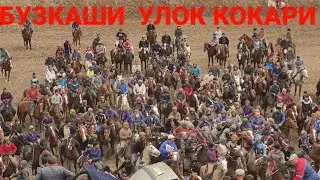 Бузкаши  Ката Улок КОКАРИ 12 марта 2022 г.
