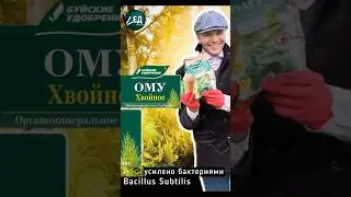 Хвойный допинг