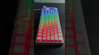 These Keycaps look… SOOO GOOD 🤤💯 #tech #keyboard #asthetic