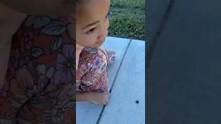 WATCH UNTIL THE END… poor bug 🤦🏾‍♀️🫢