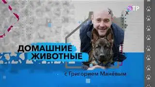 Павел Ижболдин в передаче 