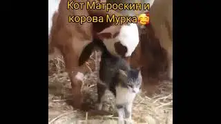 Кот Матроскин и корова Мурка